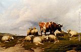Cow Canvas Paintings - A Cow And Sheep On The Cliffs